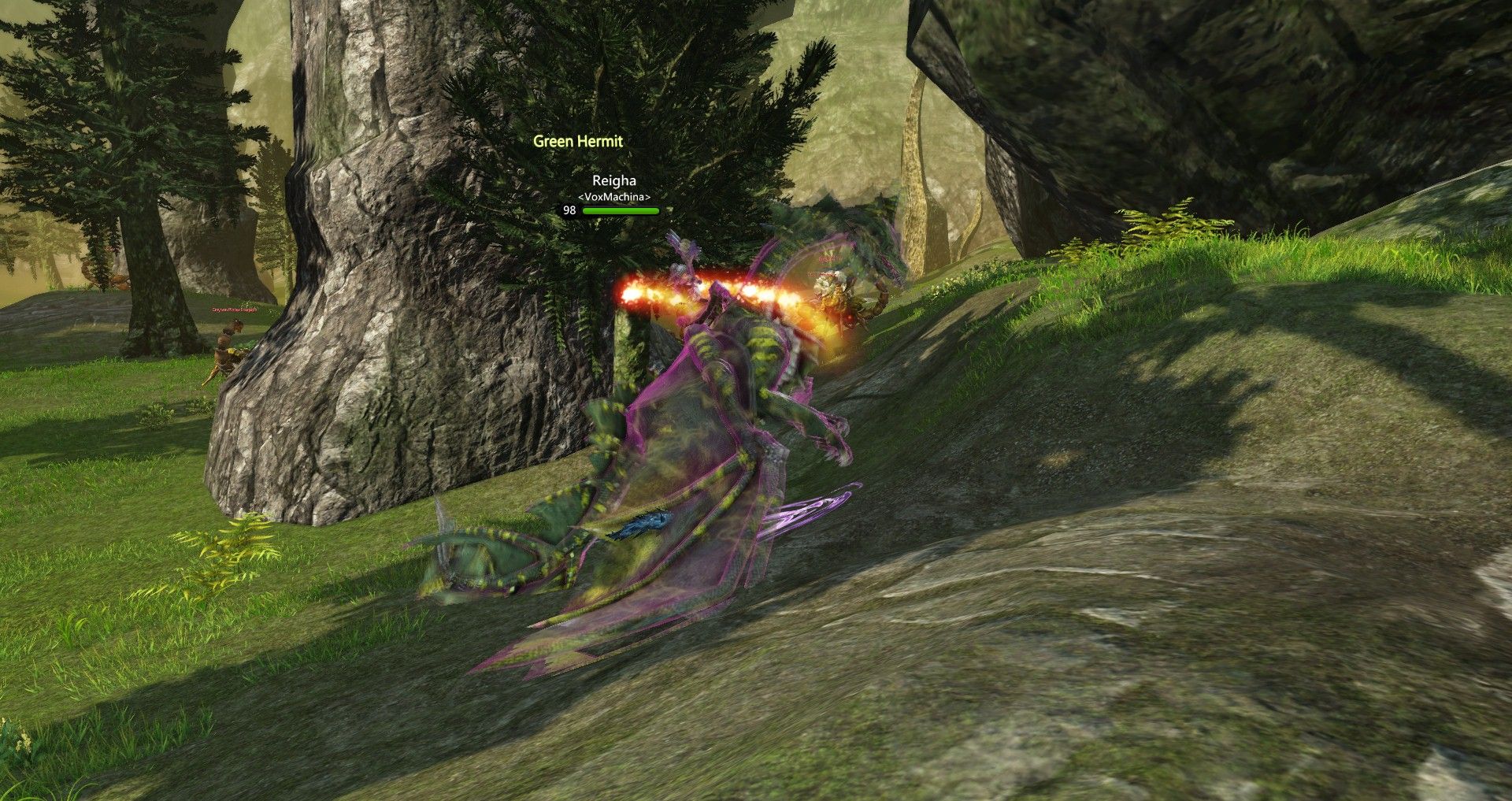 First Capture of the Hermit